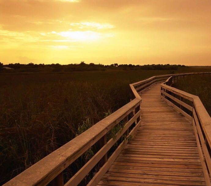 ESTILO NATURAL: Donde la naturaleza se convierte en tu estilo de vida.