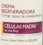 CREMA CELULAS MADRE REGENERADORA 50 ml